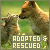 Adopted & Rescued Animals