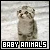 Baby Animals